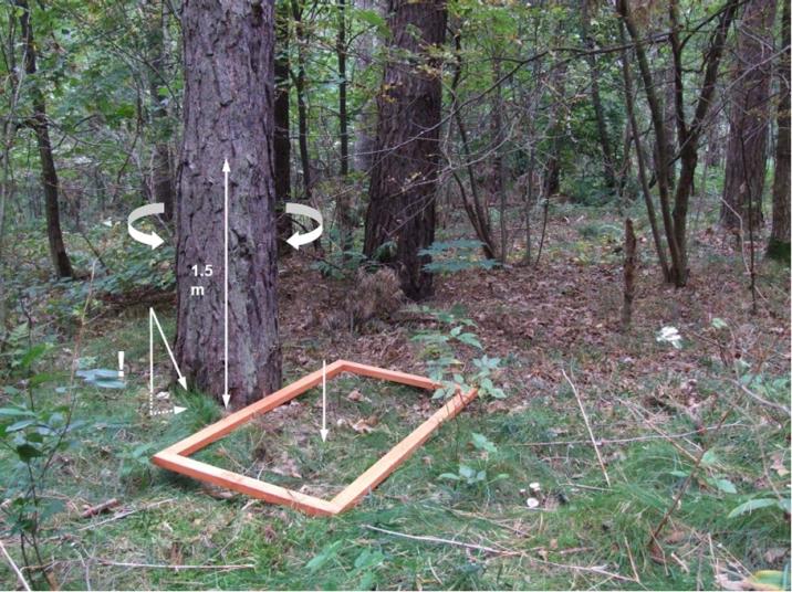 miejsca występowania kokonów boreczników (fot.ZOL Gdańsk)