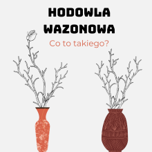 Zbiór bukietów do hodowli wazonowej
